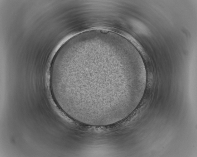 X0000112030955200909141054
