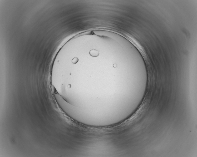 X0000112030956200909141054