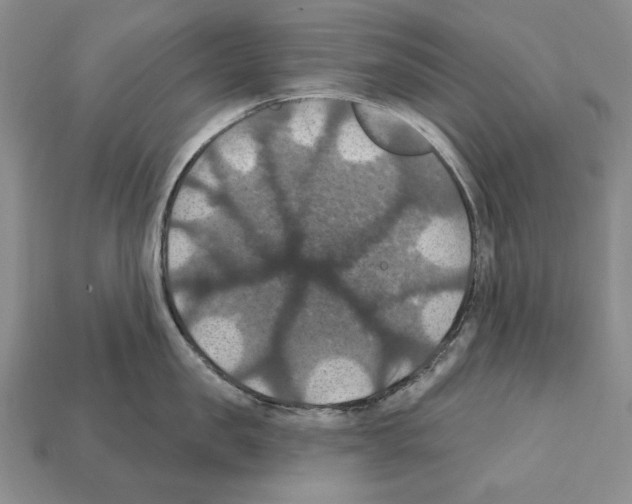 X0000112030957200909141054