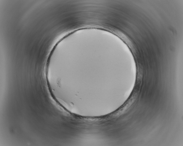 X0000112030958200909141054