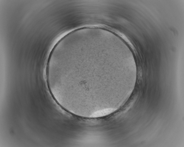 X0000112030959200909141054