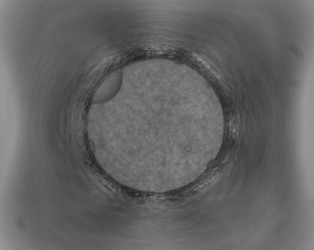 X0000112030961200909141053