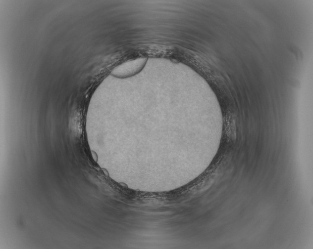 X0000112030962200909141053