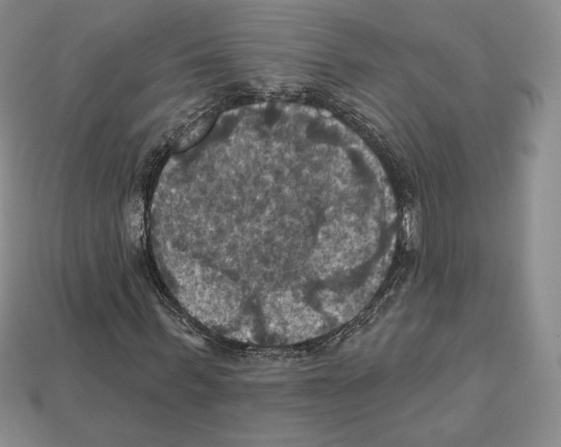 X0000112030963200909141053