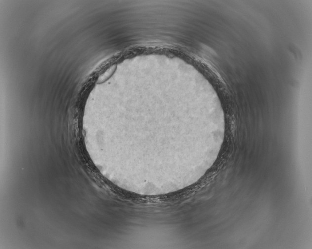 X0000112030968200909141053