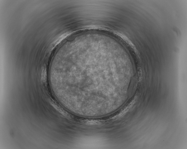 X0000112030969200909141053