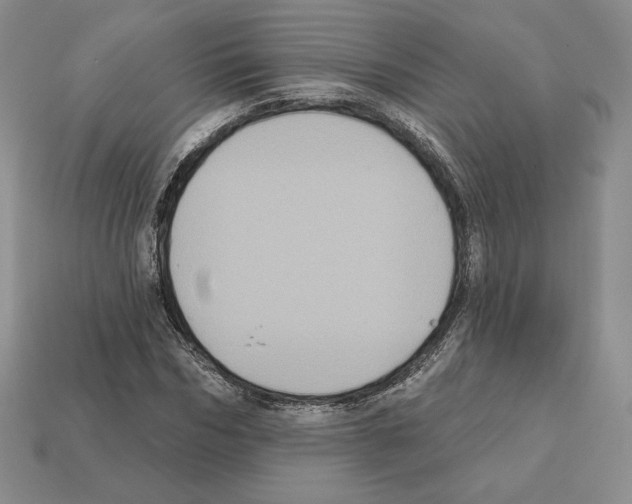 X0000112030970200909141053