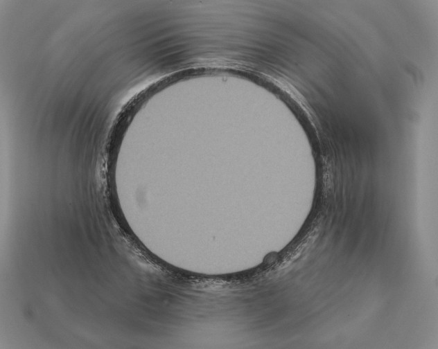 X0000112030971200909141053