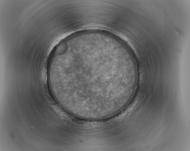 X0000112030973200909141053