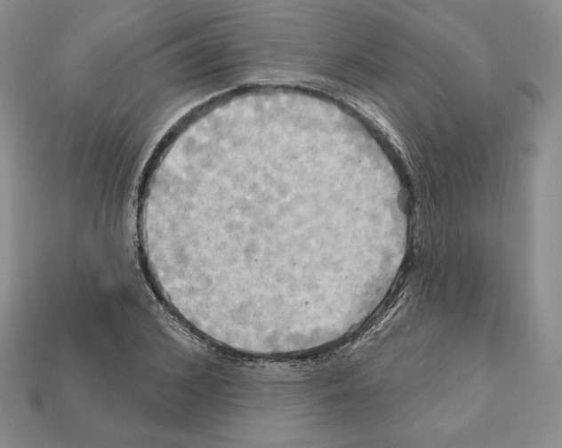 X0000112030976200909141053