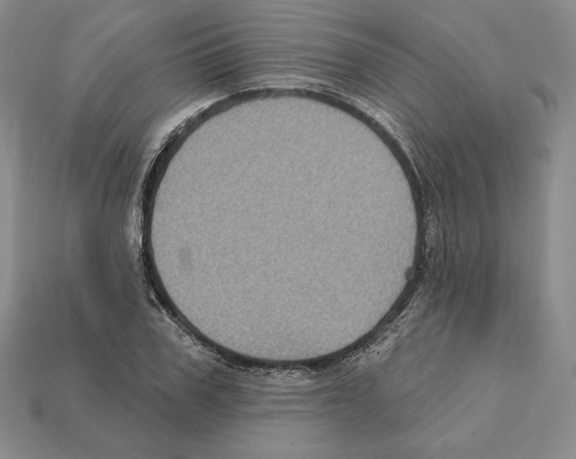 X0000112030979200909141053