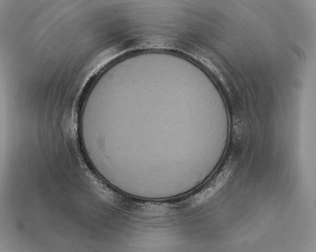 X0000112030981200909141053