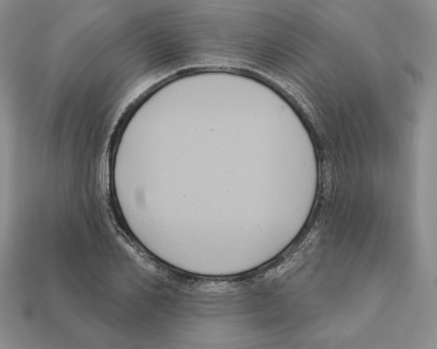 X0000112030982200909141053