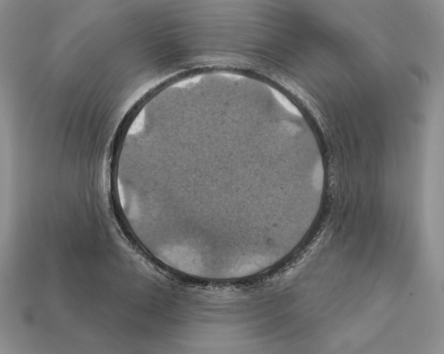 X0000112030983200909141053