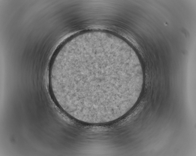 X0000112030984200909141053