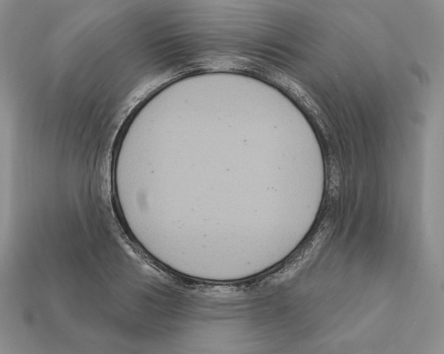 X0000112030986200909141053