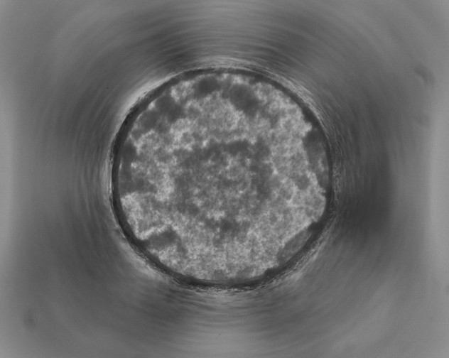 X0000112030987200909141053