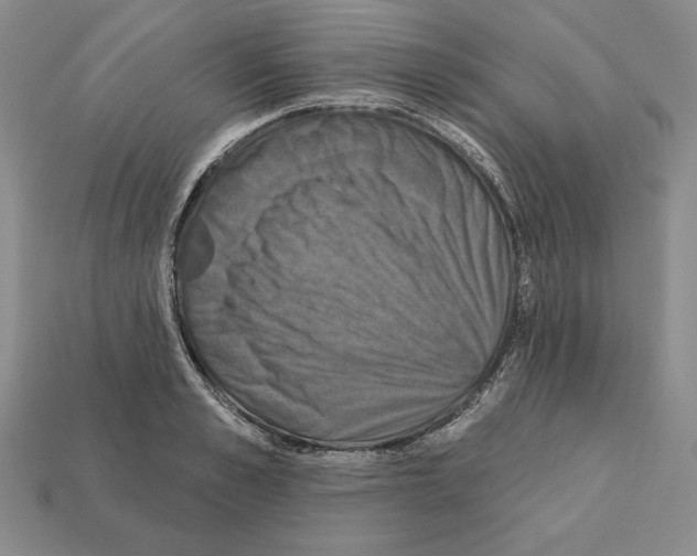 X0000112030989200909141053
