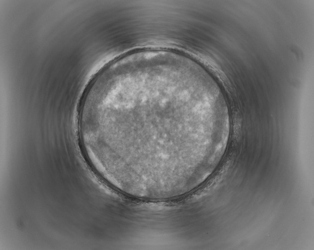 X0000112030990200909141053