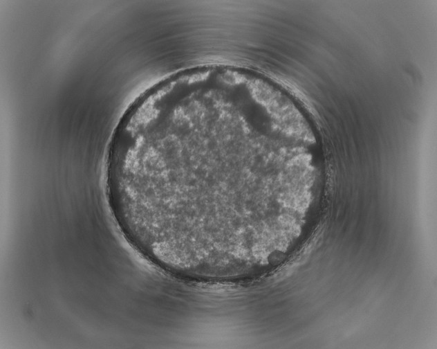 X0000112030991200909141053