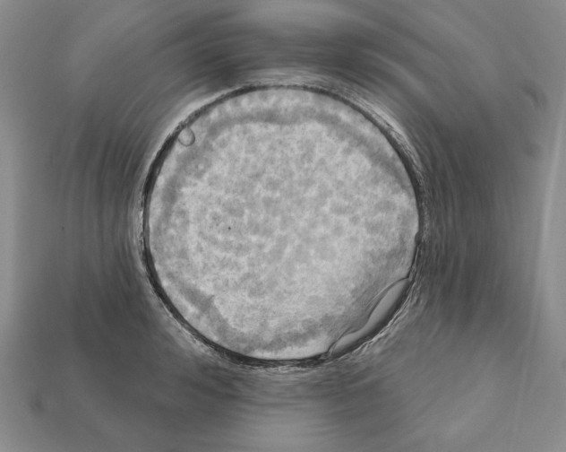 X0000112030992200909141053