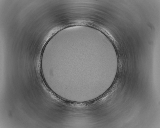 X0000112030994200909141053