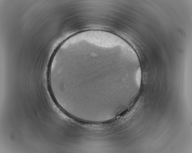 X0000112030995200909141053
