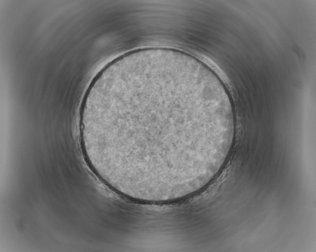X0000112030996200909141053