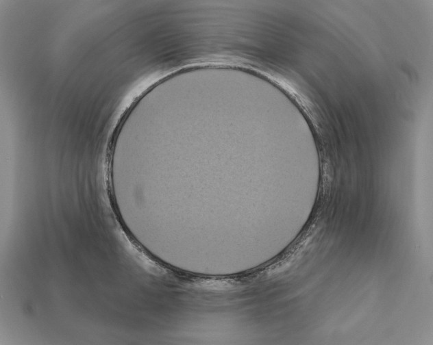 X0000112030998200909141053