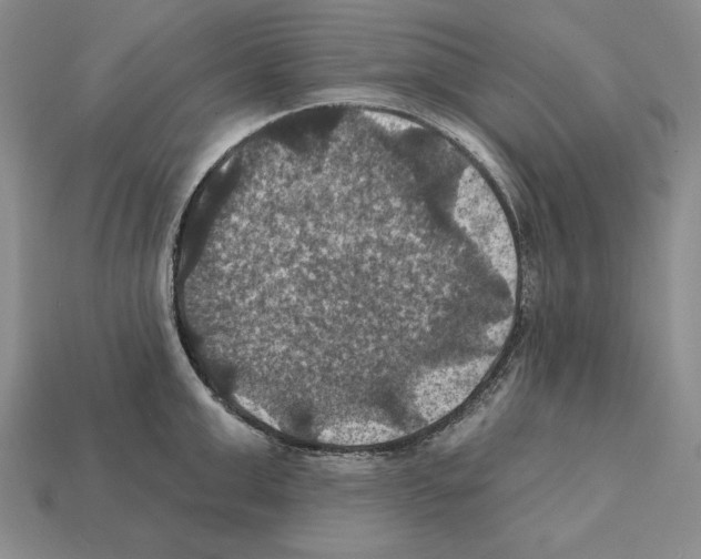 X0000112030999200909141053