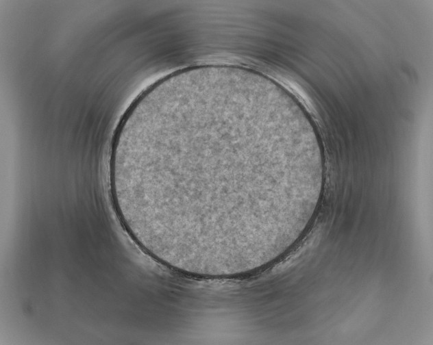 X0000112031000200909141052