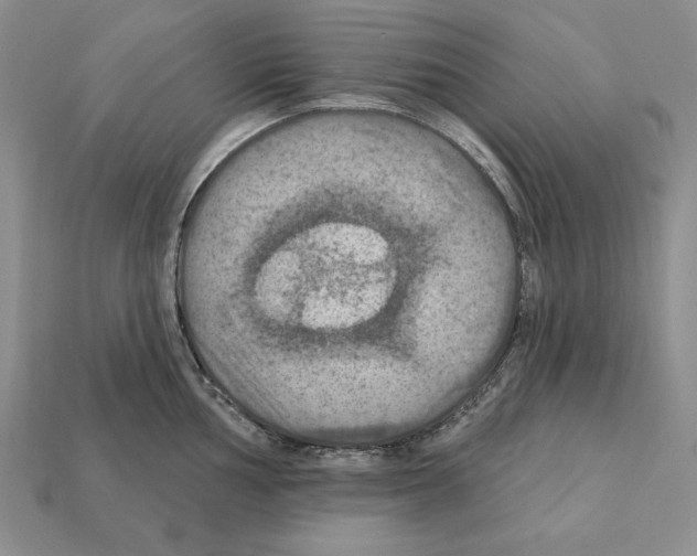 X0000112031002200909141052