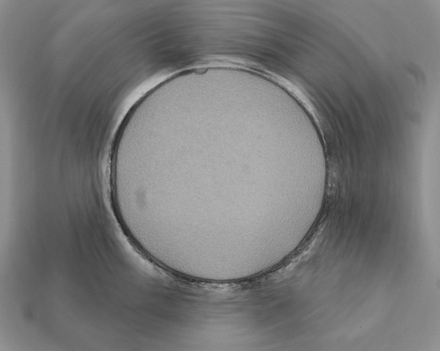 X0000112031003200909141052
