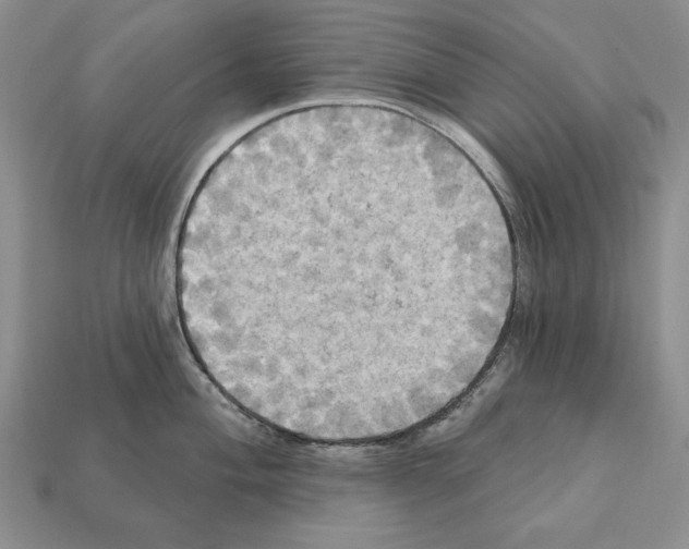 X0000112031004200909141052