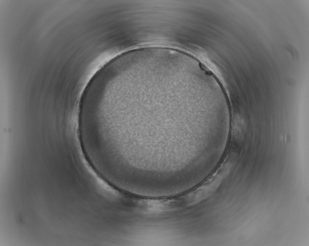 X0000112031005200909141052