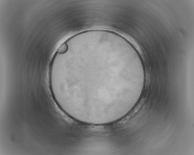 X0000112031006200909141052