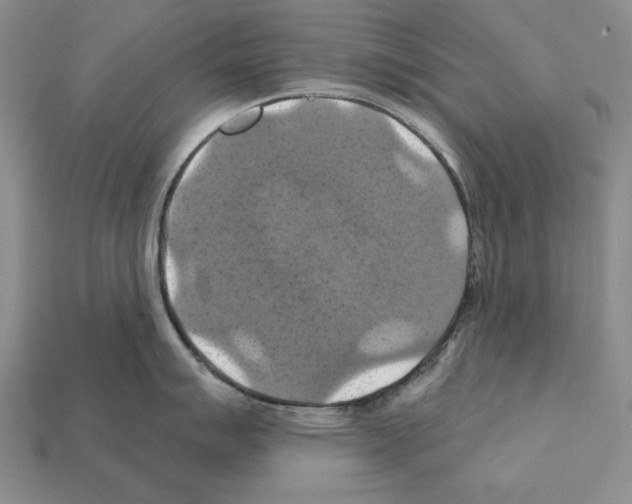 X0000112031007200909141052