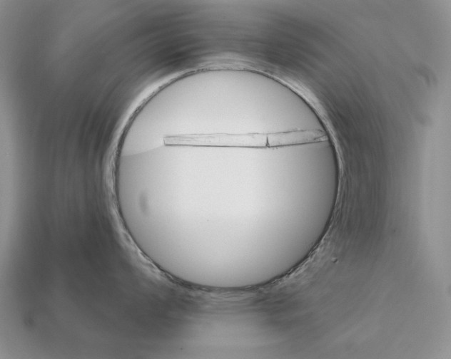 X0000112031008200909141052