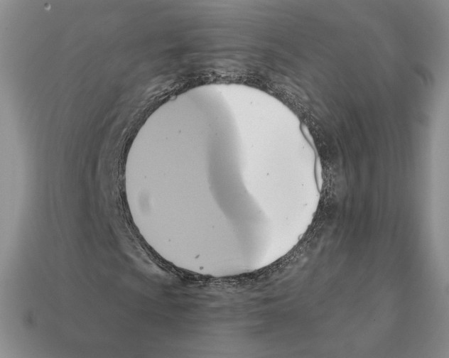 X0000112031009200909141052