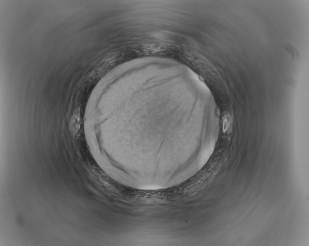 X0000112031011200909141052