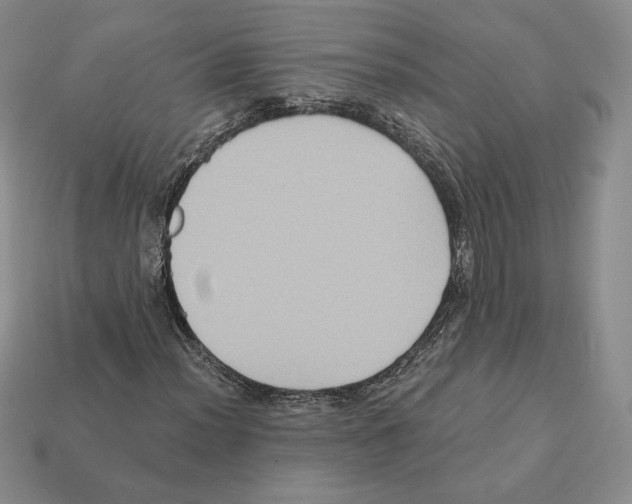 X0000112031012200909141052
