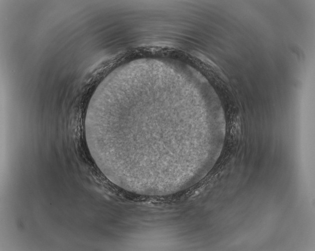 X0000112031014200909141052