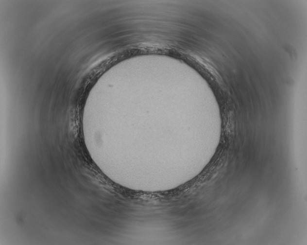 X0000112031015200909141052