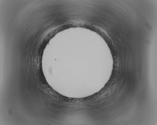 X0000112031016200909141052
