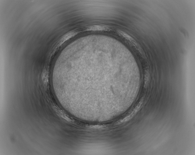 X0000112031017200909141052