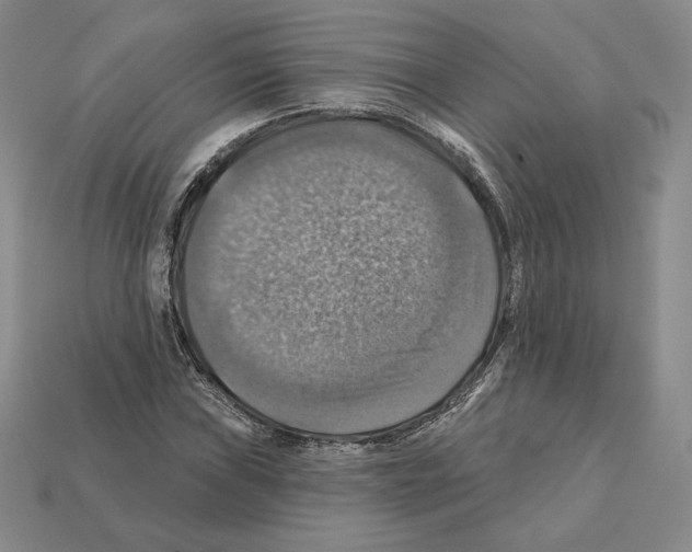 X0000112031019200909141052
