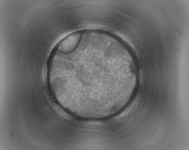 X0000112031021200909141052