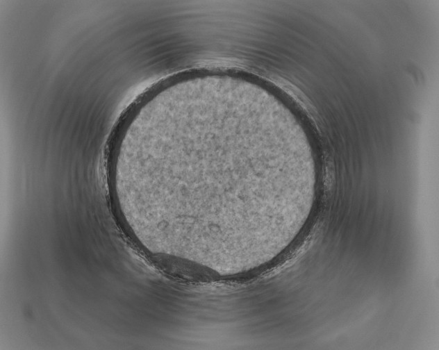 X0000112031022200909141052