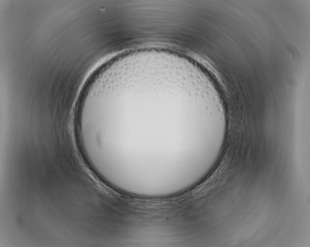 X0000112031024200909141052