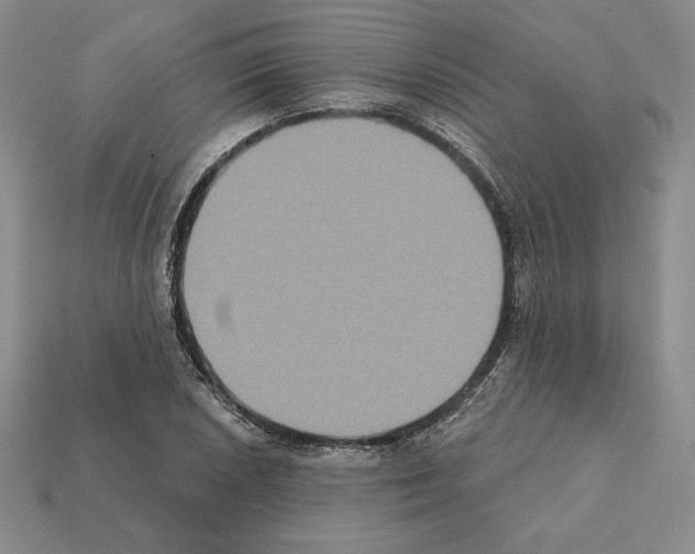 X0000112031026200909141052